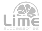 LIME SUCCESSORIES